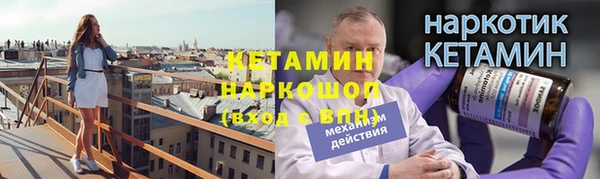 прущие грибы Вязьма