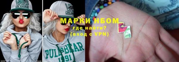 прущие грибы Вязьма