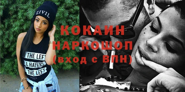 прущие грибы Вязьма