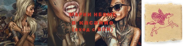прущие грибы Вязьма