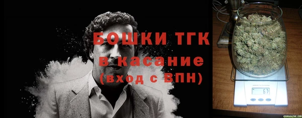 прущие грибы Вязьма