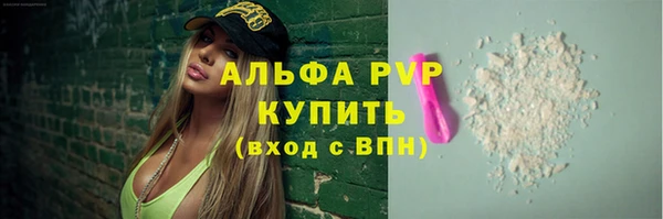 прущие грибы Вязьма