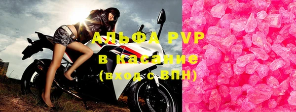 прущие грибы Вязьма