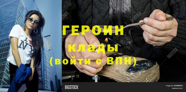 прущие грибы Вязьма