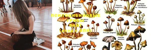 экстази Вяземский