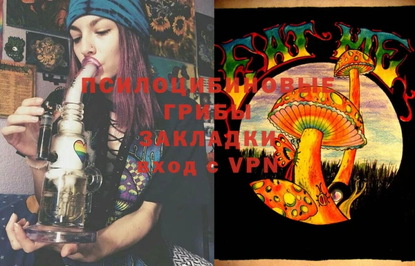 прущие грибы Вязьма