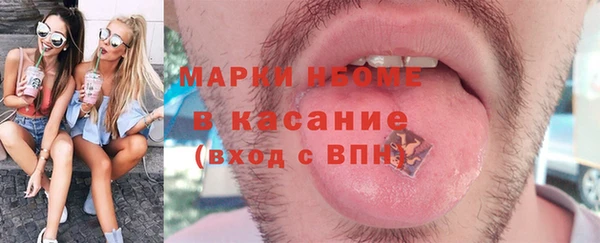 прущие грибы Вязьма