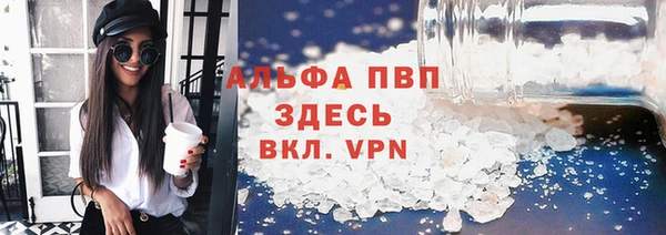 прущие грибы Вязьма
