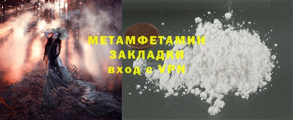 прущие грибы Вязьма