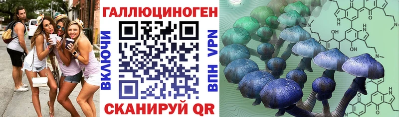 Галлюциногенные грибы Psilocybe  Брянск 